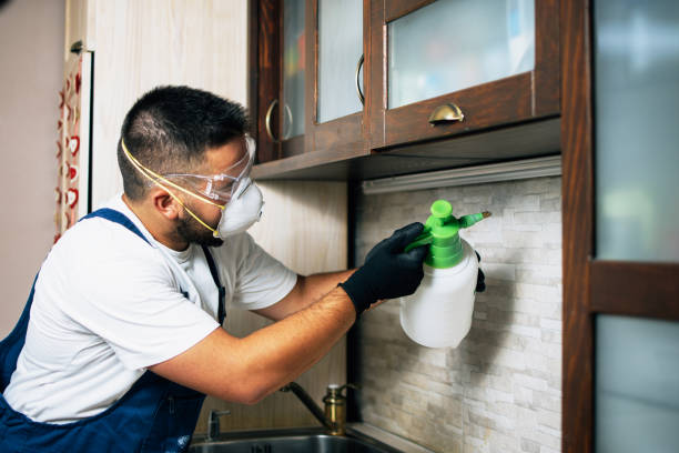 Best Pest Removal Services  in Coos Bay, OR