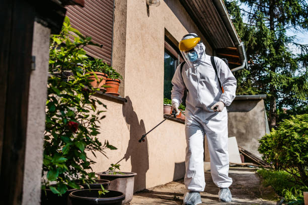 Best Pest Removal Services  in Coos Bay, OR