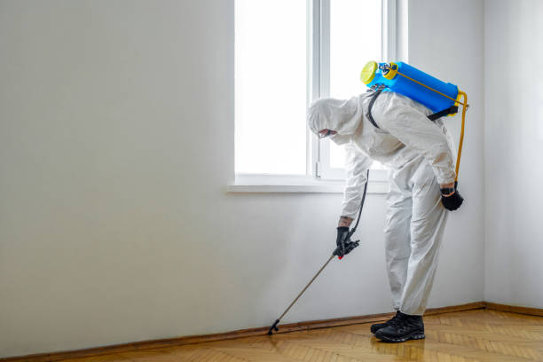 Best Ant Control Services  in Coos Bay, OR