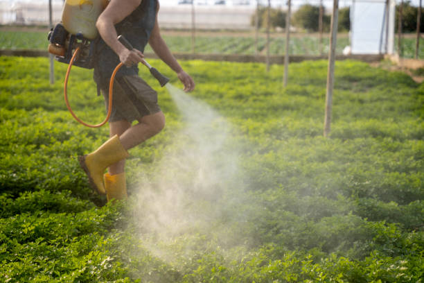 Best Affordable Pest Control Services  in Coos Bay, OR