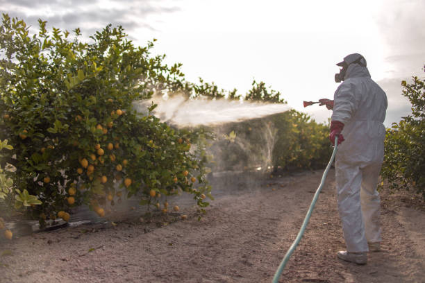 Best Best Pest Control Companies  in Coos Bay, OR