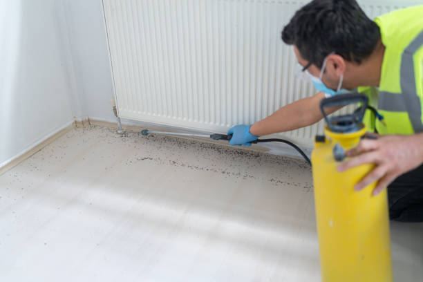 Best Pest Prevention Services  in Coos Bay, OR
