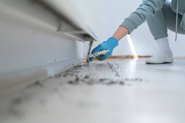 Best Mosquito Control Services  in Coos Bay, OR